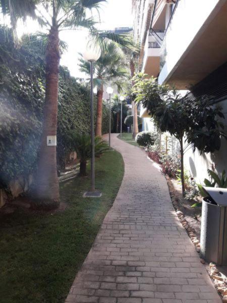 Mi Casa Es Tu Casa Gandia Appartamento Esterno foto